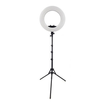 رینگ لایت گوشی و دوربین عکاسی 18 اینچ 180 درجه هیرو Hero SY-1361 III