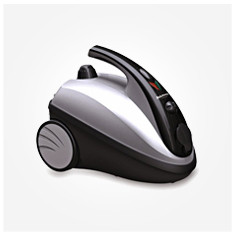 بخارشوی دلمونتی 2000 وات Delmonti DL 200