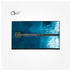تلویزیون ال جی ال ای دی هوشمند فورکی 65 اینچ LG Smart OLED65E9PVA
