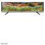 عکس تلویزیون پاناسونیک ال ای دی اچ دی 32E330M Panasonic LED HD تصویر