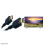 عکس تلویزیون پاناسونیک ال ای دی اچ دی 32E330M Panasonic LED HD تصویر