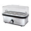 عکس تخم مرغ پز دلمونتی 8 نفره 400 وات Delmonti DL685 Egg Cooker تصویر