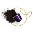 عکس کپسول قهوه 10 عددی نسپرسو آرپجینو nespresso firenze arpeggio تصویر