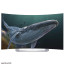 عکس تلویزیون منحنی سه بعدی ال جی LG OLED CURVE 3D Smart 55EG910 تصویر