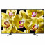 عکس تلویزیون سونی ال ای دی هوشمند اندروید فورکی Sony 55X8000G Smart تصویر