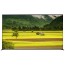 تلویزیون سونی 85X95L 