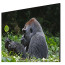 عکس خرید تلویزیون هوشمند توشیبا فورکی TOSHIBA LED TV 55U5965 تصویر