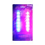 عکس لامپ تزئینی خودرو ال ای دی 12 ولت Car decorative lamp ZW-334 تصویر