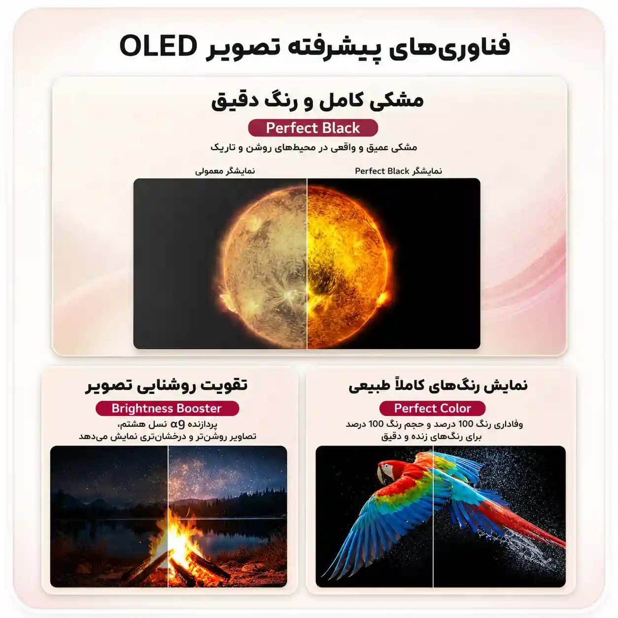 تلویزیون ال جی 55C5 7 تلویزیون 55C5