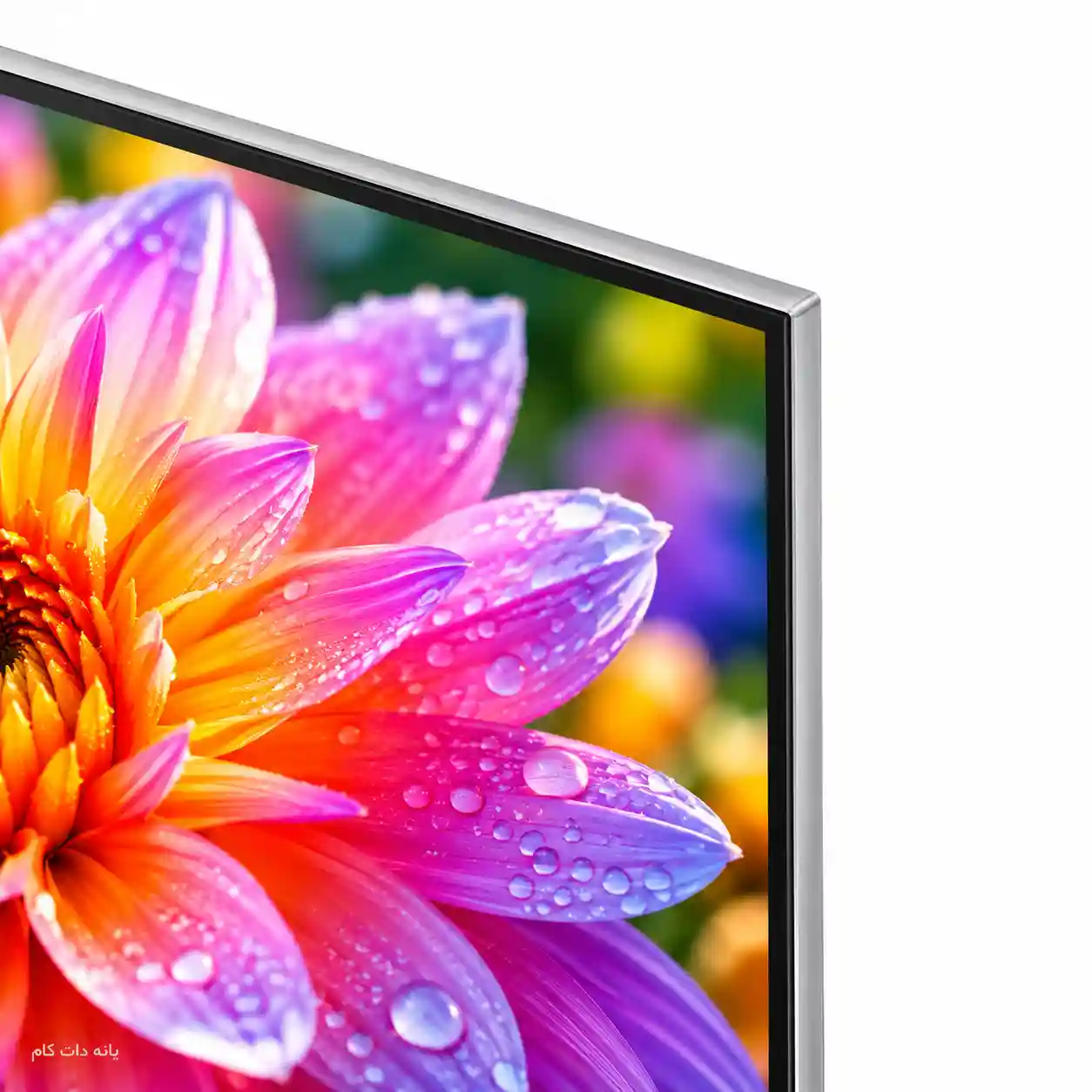 تلویزیون سامسونگ 65S95B