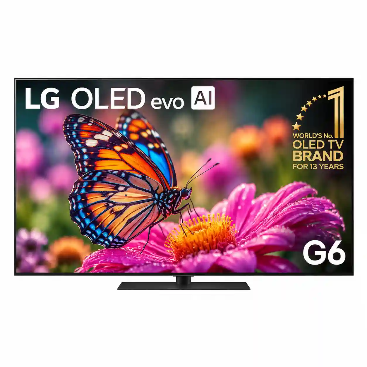 تلویزیون ال جی 65G6